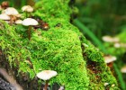 淄博试管婴儿费用解析，了解你需要知道的一切